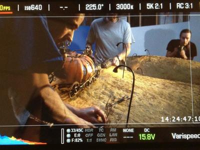 This is a BTS shot of the puppet animated short film,  Cicada Princess, created and shot in house at Fonco Studios, directed by Mauricio Baiocchi. http://vimeo.com/84058031	